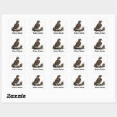 Sticker Carré Bobwhite (Feuille)