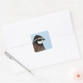 Sticker Carré Bobwhite Quail Head (Enveloppe)