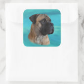 Sticker Carré Boerboel - Mastiff sud-africain (Sac)