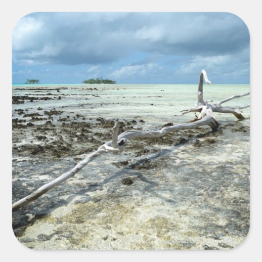 Sticker Carré Bois mort dans l'autocollant Pacifique (Devant)