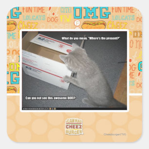 Sticker Carré Boîte géniale