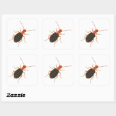 Sticker Carré Bombardier coléoptère (Feuille)