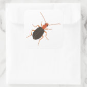 Sticker Carré Bombardier coléoptère (Sac)