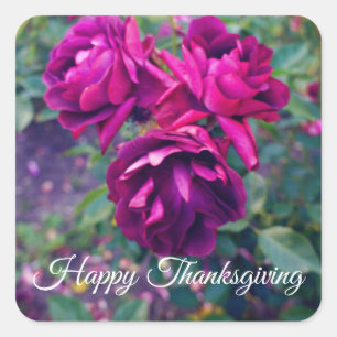 Sticker Carré Bon thanksgiving Burgundy Iceberg Rose n° 3 Sticke