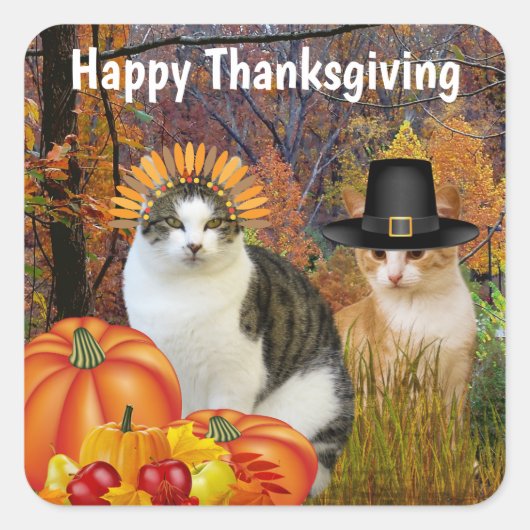 Sticker Carré Bon thanksgiving Cute Cats Citrouille (Devant)