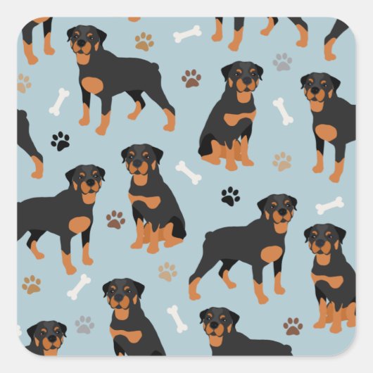 Sticker Carré Bones et pattes de chien Rottweiler (Devant)