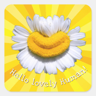 Sticker Carré "Bonjour bel Humain !" Chamomile Smile Sunshine