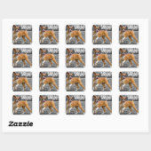 Sticker Carré Bonjour Boxer Chien Chien Chien Chien Salutation (Feuille)