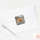 Sticker Carré Bonjour Boxer Chien Chien Chien Chien Salutation (Enveloppe)