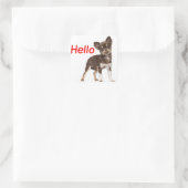 Sticker Carré Bonjour Chihuahua long cheveux Chien chiot (Sac)