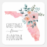 Bonjour de Floride. Voyage. Aquarelle florale