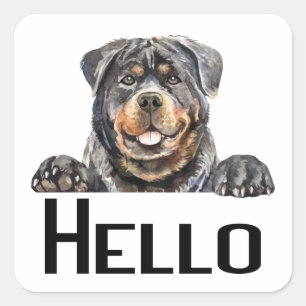 Sticker Carré Bonjour Rotie Chien Chien Chien Chien Aquarelle Ro