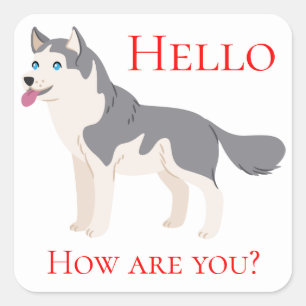 Sticker Carré Bonjour Sibérie Husky Chien Chien Chien Chien Chie