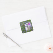 Sticker Carré Bonne chèvre (Enveloppe)
