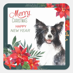 Sticker Carré Bordure Collie Chien Poinsettia Bouquet Noël