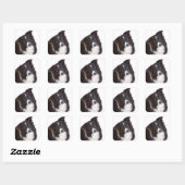 Sticker Carré Bordure noire et blanche Collie Chien chiot (Feuille)