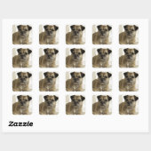 Sticker Carré Bordure Terrier (Feuille)