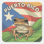 Sticker Carré Boricua (Devant)