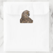 Sticker Carré Boule-hibou eurasien - Boucles d'Otus (2 mois) (Sac)