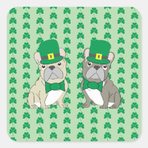 Sticker Carré Bouledogues français de la St. Patrick