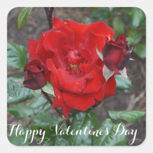Sticker Carré Bouquet Crimson Heureuse Sainte-Valentin #1 Sticke