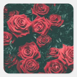 Sticker Carré Bouquet de roses rouges