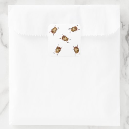 Sticker Carré Bousier (Sac)