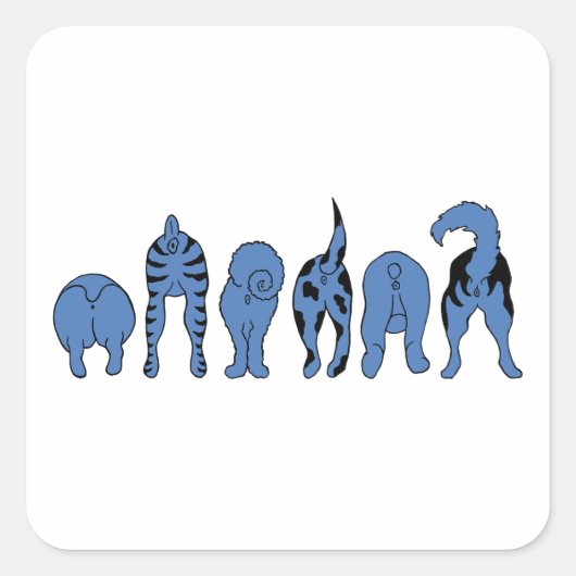 Sticker Carré Boutons de chien bleu (Devant)