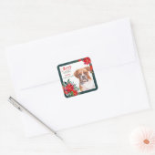 Sticker Carré Boxer Chien Poinsettia Frontière Noël (Enveloppe)