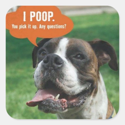 Sticker Carré Boxer - I poop (Devant)