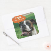 Sticker Carré Boxer - I poop (Enveloppe)