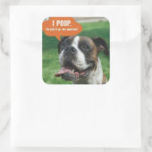 Sticker Carré Boxer - I poop (Sac)