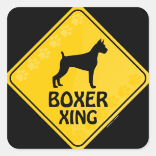 Sticker Carré Boxer Xing