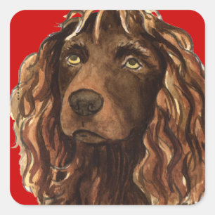 Sticker Carré Boykin Spaniel Color Block