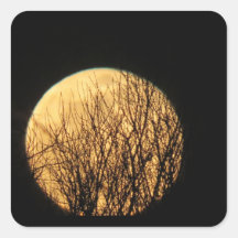 Branches d'arbres devant la Lune d'Halloween Éffra