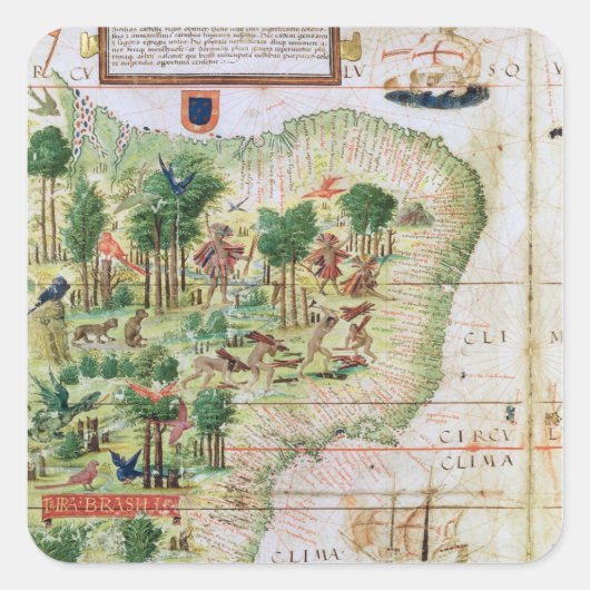 Sticker Carré Brésil de l'Atlas Miller (Devant)