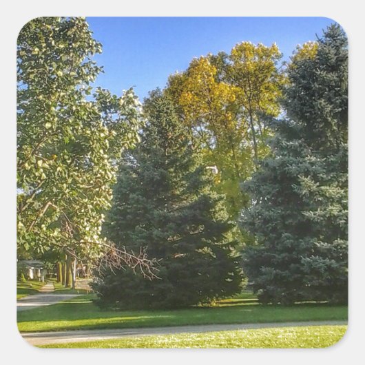 Sticker Carré Bright Sunny Day Dans Le Parc (Devant)