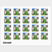 Sticker Carré Brindle & Blue Staffordshire & Pit Bull Dogs (Feuille)