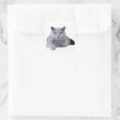 Sticker Carré British shorthair (Sac)