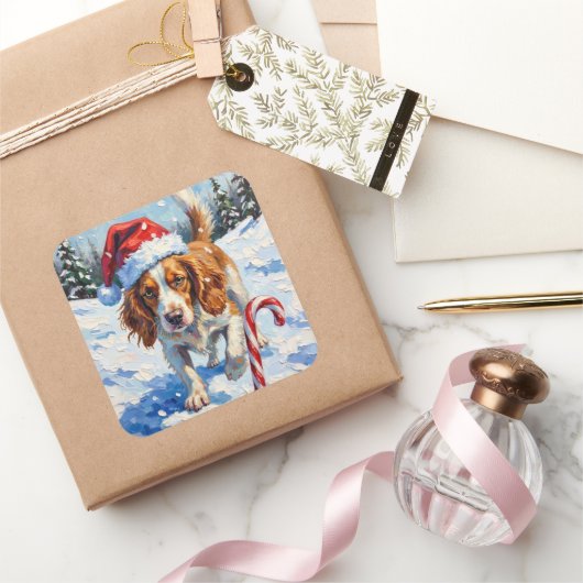 Sticker Carré Brittany Spaniel Dog Pointing at Christmas Candy (Cadeaux)