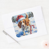 Sticker Carré Brittany Spaniel Dog Pointing at Christmas Candy (Enveloppe)