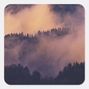 Sticker Carré Brouillard hivernal dans la vallée au coucher du s