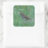 Sticker Carré Bruant chanteur dans l'herbe (Sac)