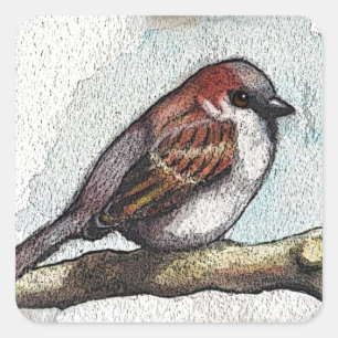 Sticker Carré Bruant : Oiseau, Aquarelle, Pierres, Rochers