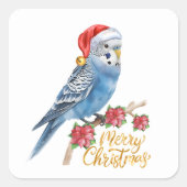 Sticker Carré Budgie Christmas (Devant)