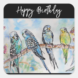Sticker Carré Budgie Perruche Oiseau Aquarelle Hommes Oiseaux