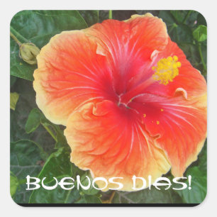 Sticker Carré Buenos Dias