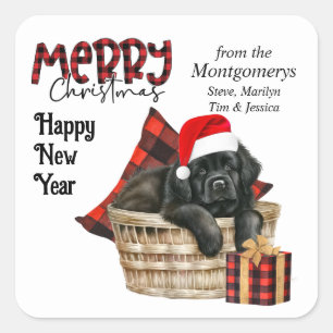 Sticker Carré Buffalo Plaid Newfoundland Puppy Christmas
