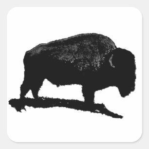 Sticker Carré Buffle noir et blanc