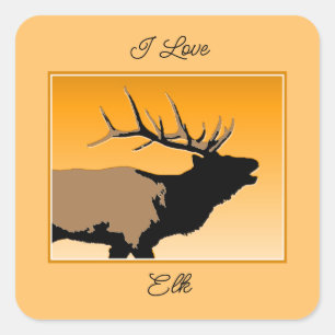 Sticker Carré Bugling Elk at Sunset - Art original de la faune